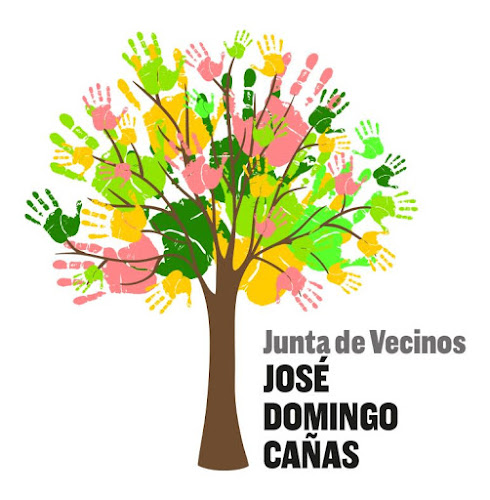 Junta De Vecinos N° 14 José Domingo Cañas - Asociación