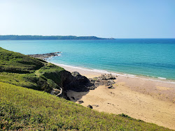 Photo de La Pissotte Beach avec un rivage spacieux