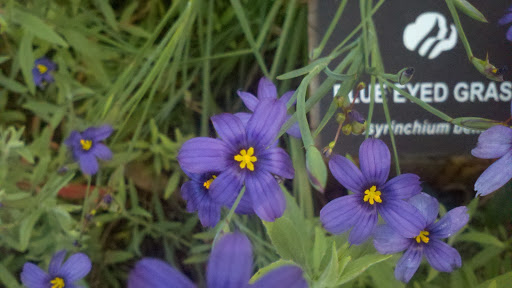 Park «Heritage Hill Historical Park», reviews and photos, 25151 Serrano Rd, Lake Forest, CA 92630, USA