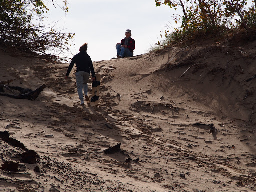 Surf Shop «Third Coast Surf Shop - New Buffalo», reviews and photos, 110 N Whittaker St, New Buffalo, MI 49117, USA