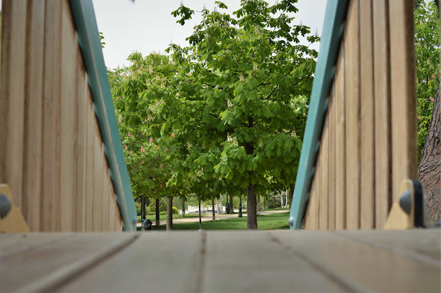 Σχόλια και κριτικές για το Δημοτικός Κήπος Κοζάνης