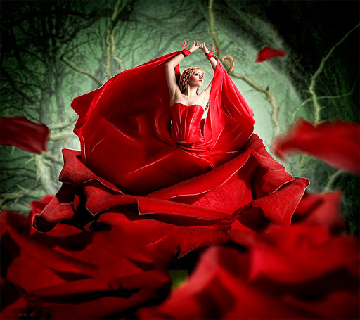 Craft Store «Michaels», reviews and photos, 127 N Cattlemen Rd, Sarasota, FL 34243, USA