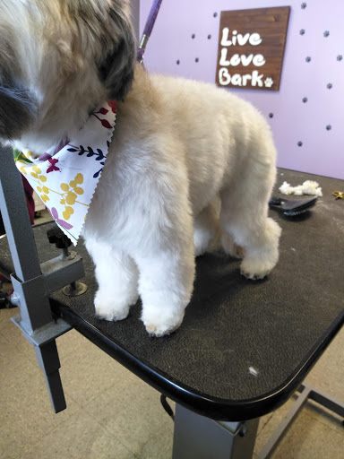 Scally-Wag Grooming LLC