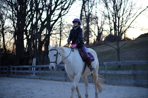 Horse riding school Maryland