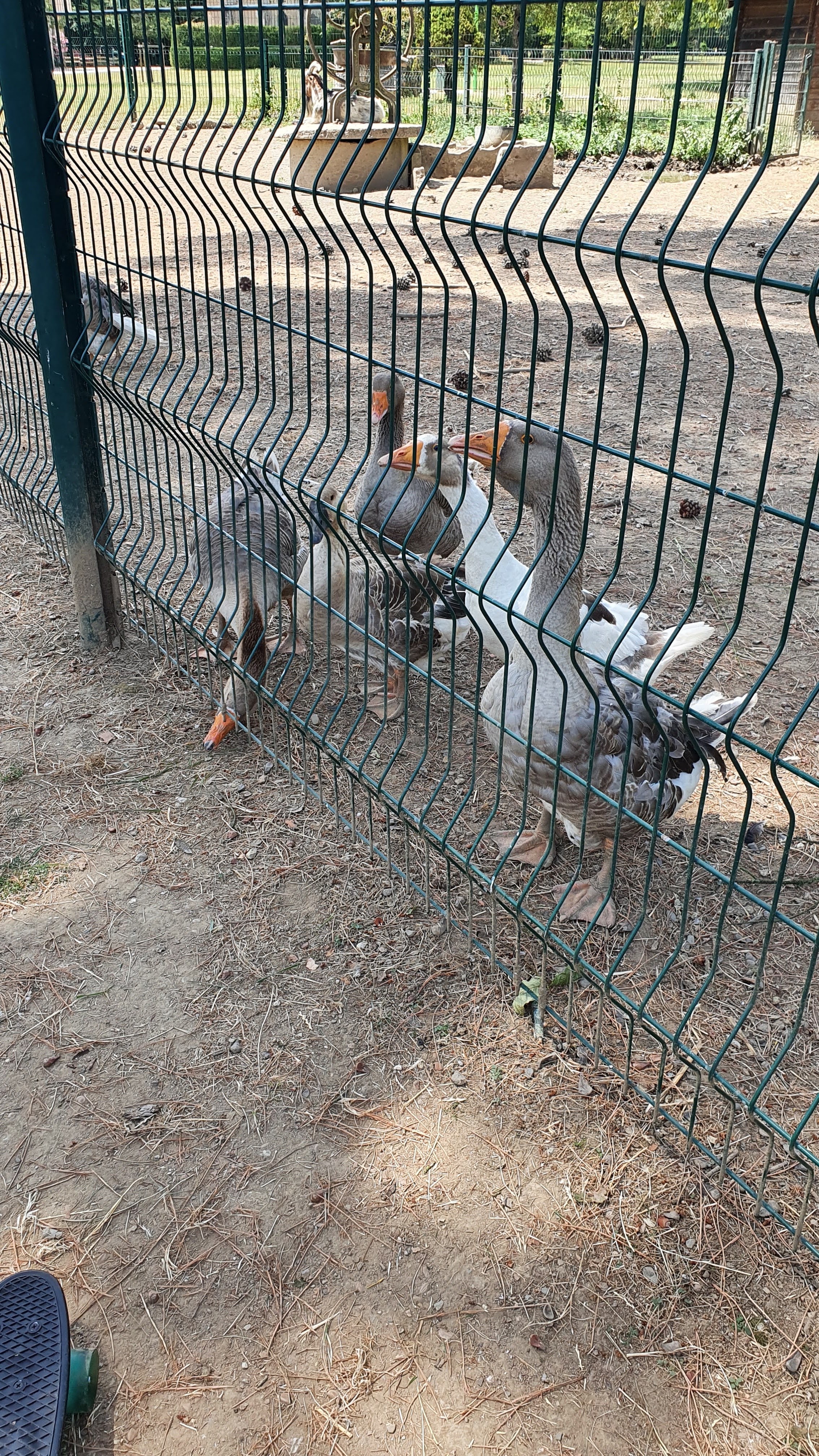 Photo n° 4 de l'avis de christine.e fait le 16/07/2020 à 19:14