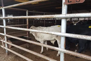 Emory Livestock Auction image
