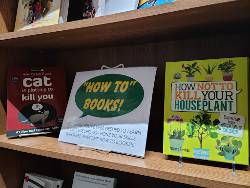 Comic Book Store «Emerald City Comics Games Toys», reviews and photos, 4902 113th Ave N, Clearwater, FL 33760, USA