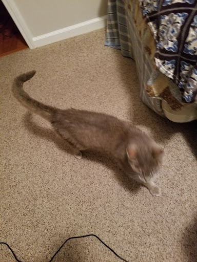 Golf Course «Founders Club at Pawleys Island», reviews and photos, 7829 Ocean Hwy, Pawleys Island, SC 29585, USA