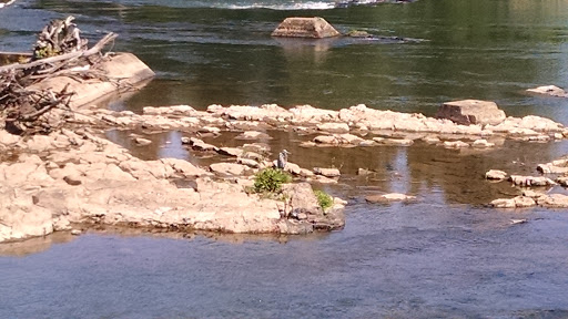 Park «Alton Baker Park», reviews and photos, 100 Day Island Rd, Eugene, OR 97401, USA