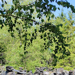 Photo n°17 de l'avis de Purple.8 fait le 14/08/2021 à 10:53 sur le  Museum Technisches Denkmal Lehesten à Lehesten
