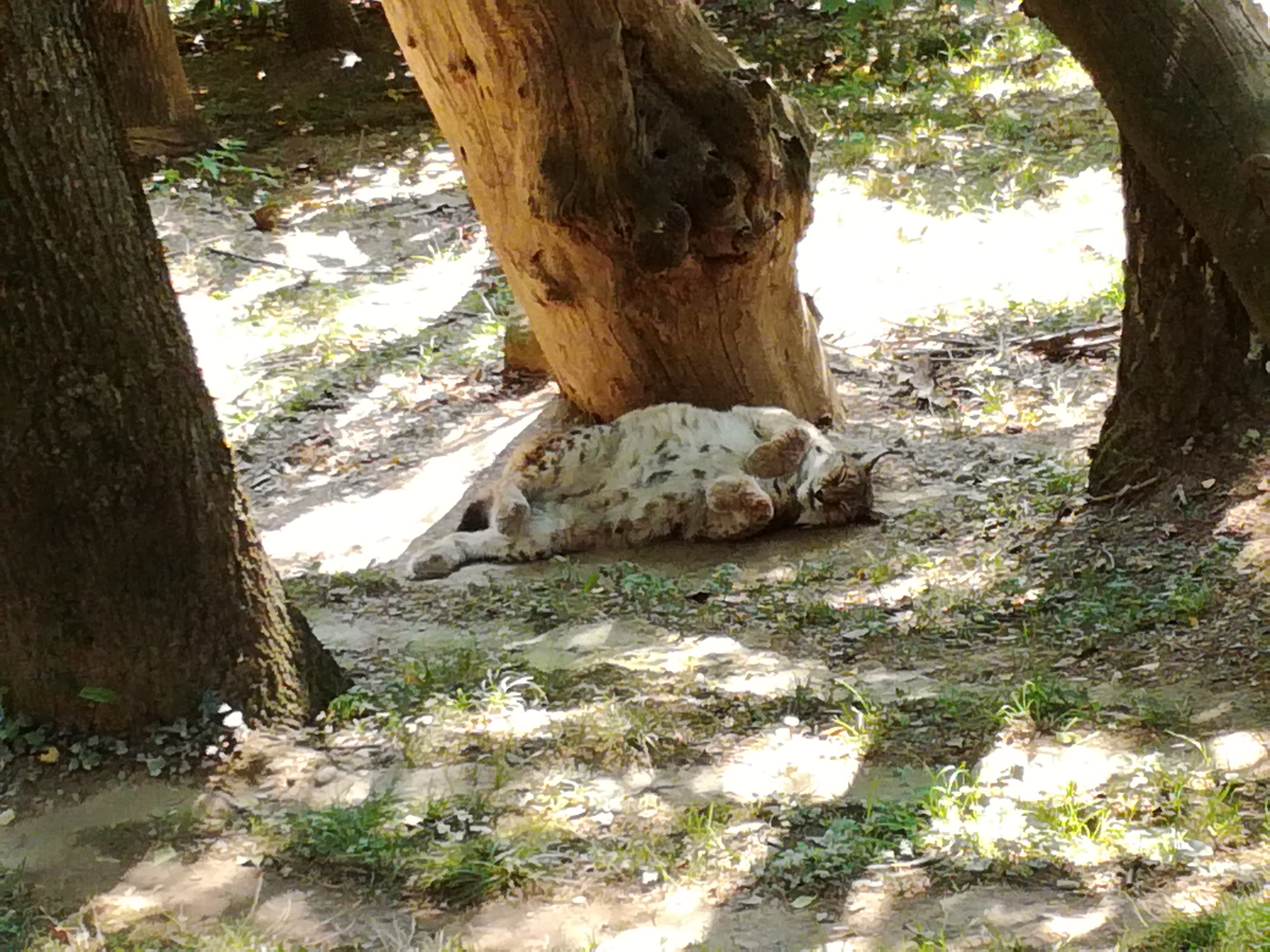 Photo n° 13 de l'avis de Belasco.i fait le 09/08/2021 à 10:20