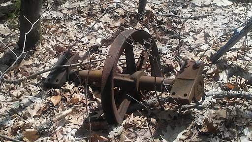 Nature Preserve «Centennial Woods Natural Area», reviews and photos, I-89, Burlington, VT 05401, USA