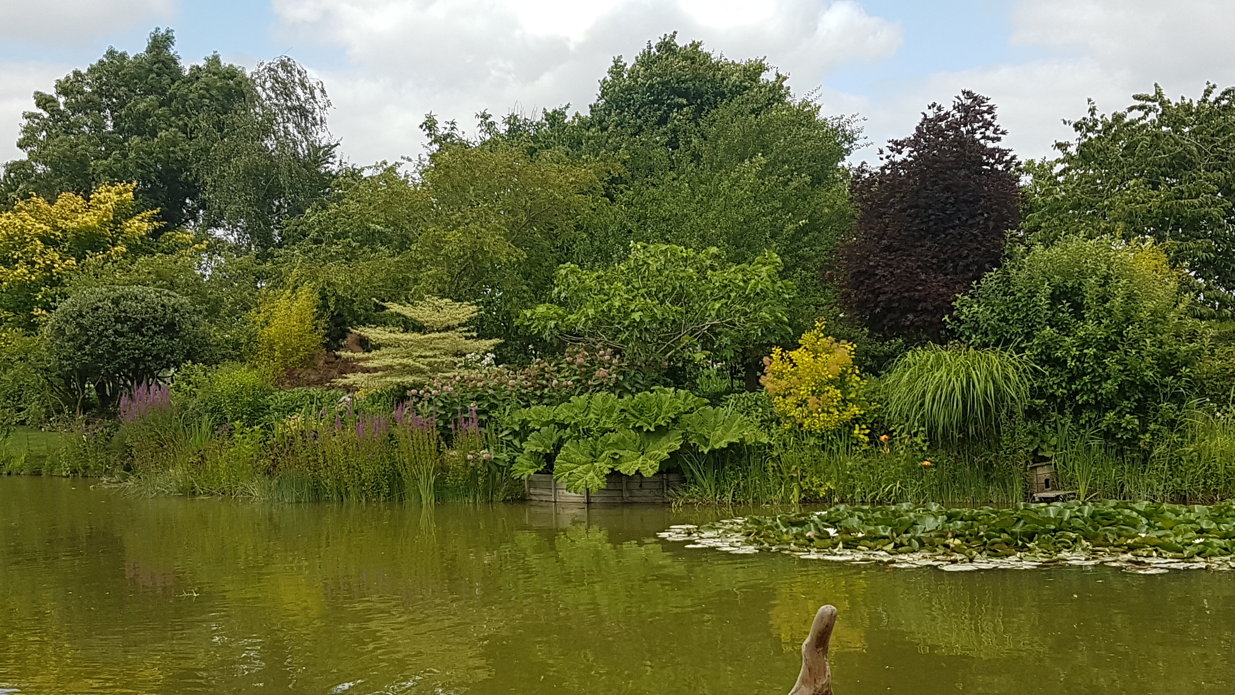 Photo n° 6 de l'avis de Didier.y fait le 04/07/2023 à 13:38
