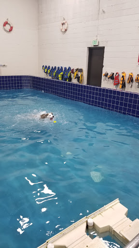 Pet Supply Store «Pet Depot Inc», reviews and photos, 2151 Greenspring Dr, Lutherville-Timonium, MD 21093, USA