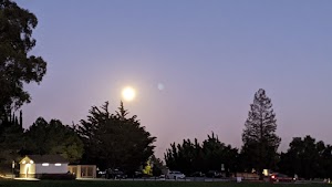 Crestview Park - photo 47