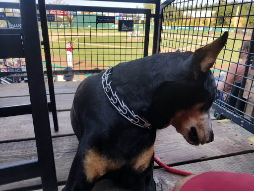 Stadium «Cheney Stadium», reviews and photos, 2502 S Tyler St, Tacoma, WA 98405, USA