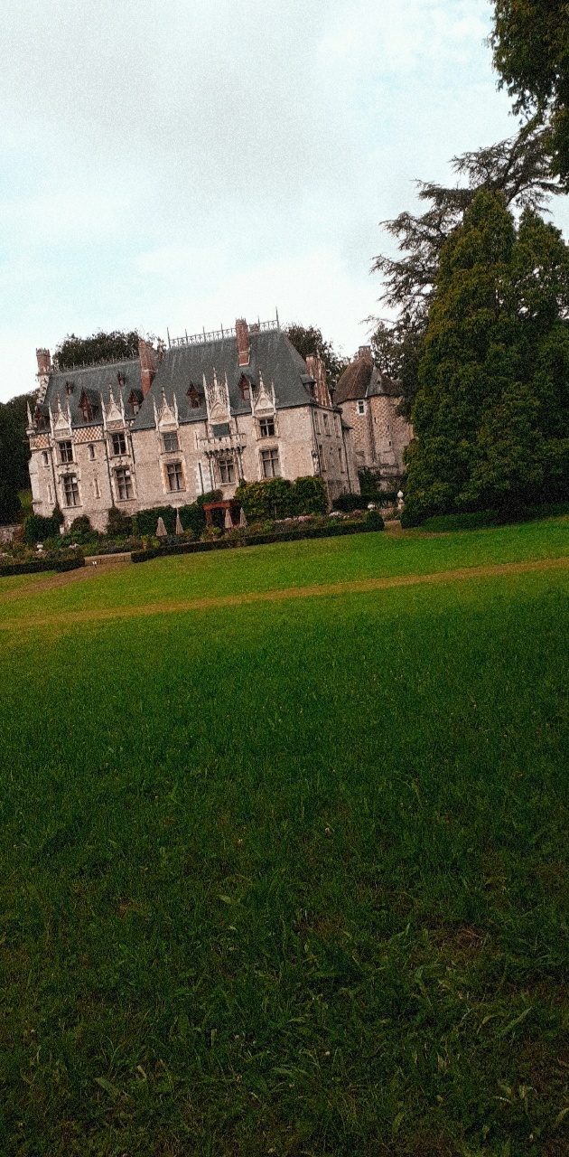 Photo n° 34 de l'avis de Ciccio.e fait le 28/07/2020 à 01:20