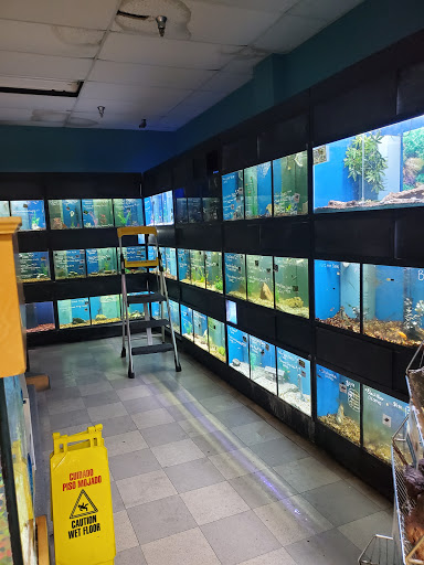 Pet Supply Store «Petland», reviews and photos, 6126 Northwest Hwy, Crystal Lake, IL 60014, USA