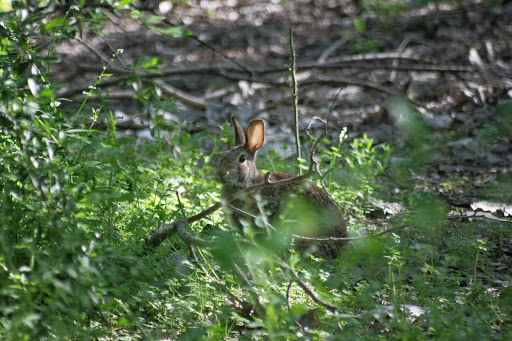 Park «Bob McFarland Park», reviews and photos, 410 E Embercrest Dr, Arlington, TX 76018, USA