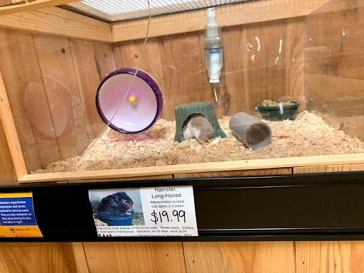 Pet Supply Store «CountryMax - Dewitt», reviews and photos, 3179 Erie Blvd E, Syracuse, NY 13214, USA