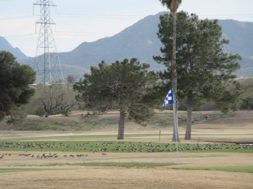 Public Golf Course «Silverbell Golf Course», reviews and photos, 3600 N Silverbell Rd, Tucson, AZ 85745, USA