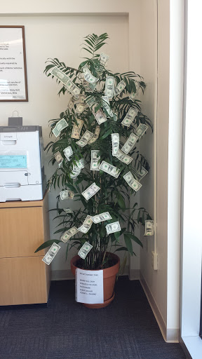 Ford Dealer «Mitchell Selig Ford», reviews and photos, 801 Bloomfield Ave, Windsor, CT 06095, USA