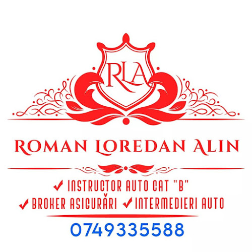 Roman Alin-Broker Asigurări & Consultanta Daune - <nil>