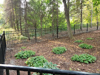 Tomms Property Solutions - Photo 2 - Car repair in , Minneapolis