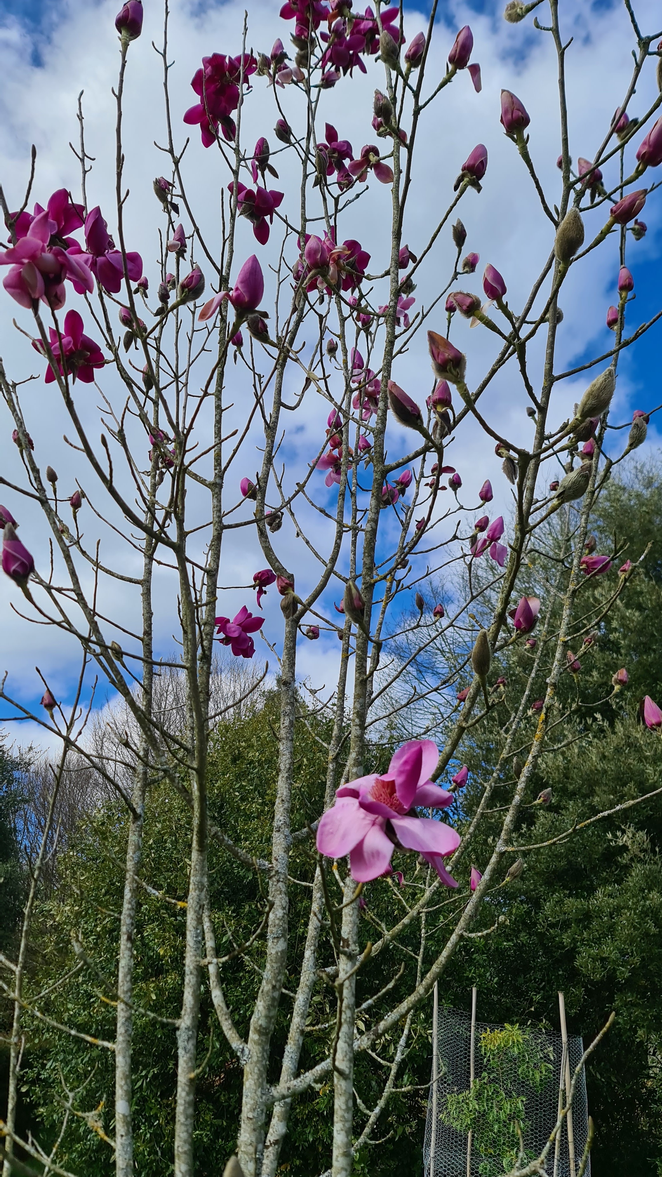 Photo n° 1 de l'avis de Simon.L fait le 14/03/2022 à 19:44