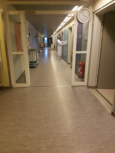 Anmeldelser af Hvidovre Hospital i Hørsholm - Sygehus