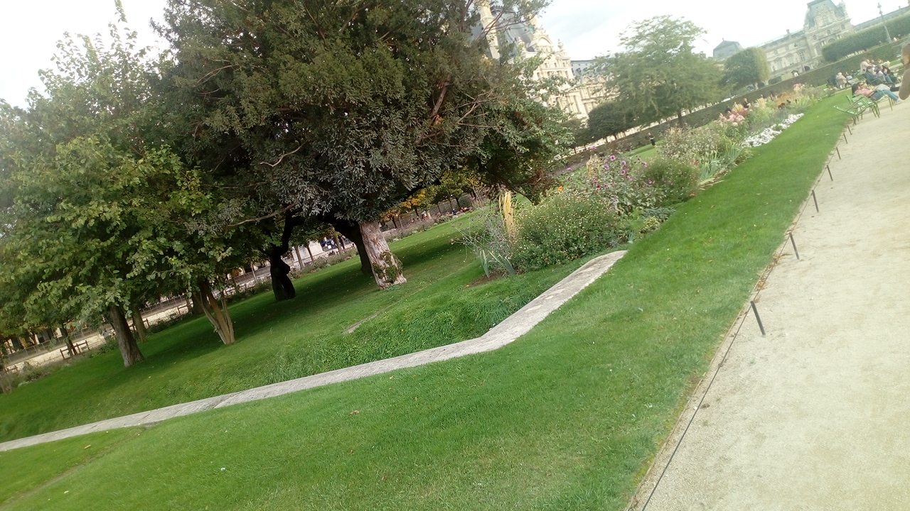 Photo n° 26 de l'avis de Delbart.e fait le 06/10/2019 à 13:25