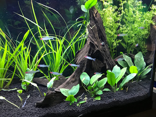 Pet Store «Pet Asylum», reviews and photos, 3700 U.S. 9, Howell, NJ 07731, USA