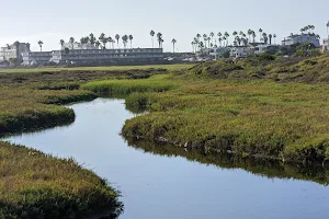 Tijuana Estuary Visitor Center image