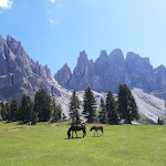Photo n°3 de l'avis de alberto.e fait le 25/08/2019 à 15:06 sur le  Gschnagenhardt-Alm à Villnöß