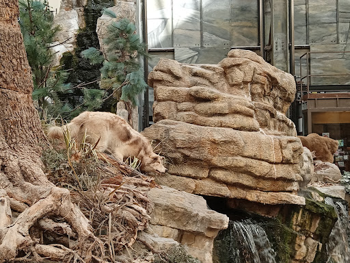 Sporting Goods Store «Bass Pro Shops», reviews and photos, 951 E Lewis and Clark Pkwy, Clarksville, IN 47129, USA