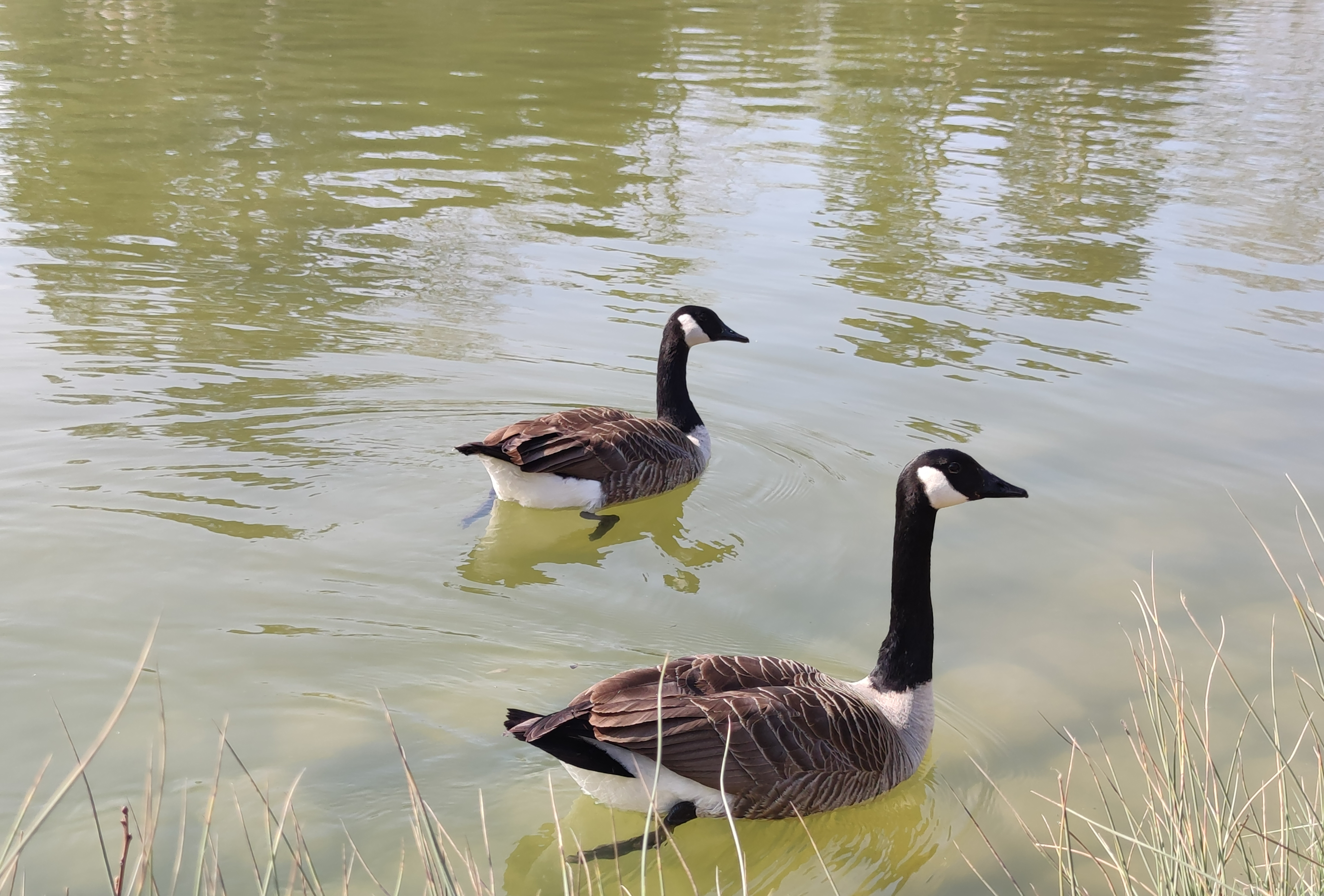 Photo n° 10 de l'avis de Javier.l fait le 20/03/2022 à 12:48