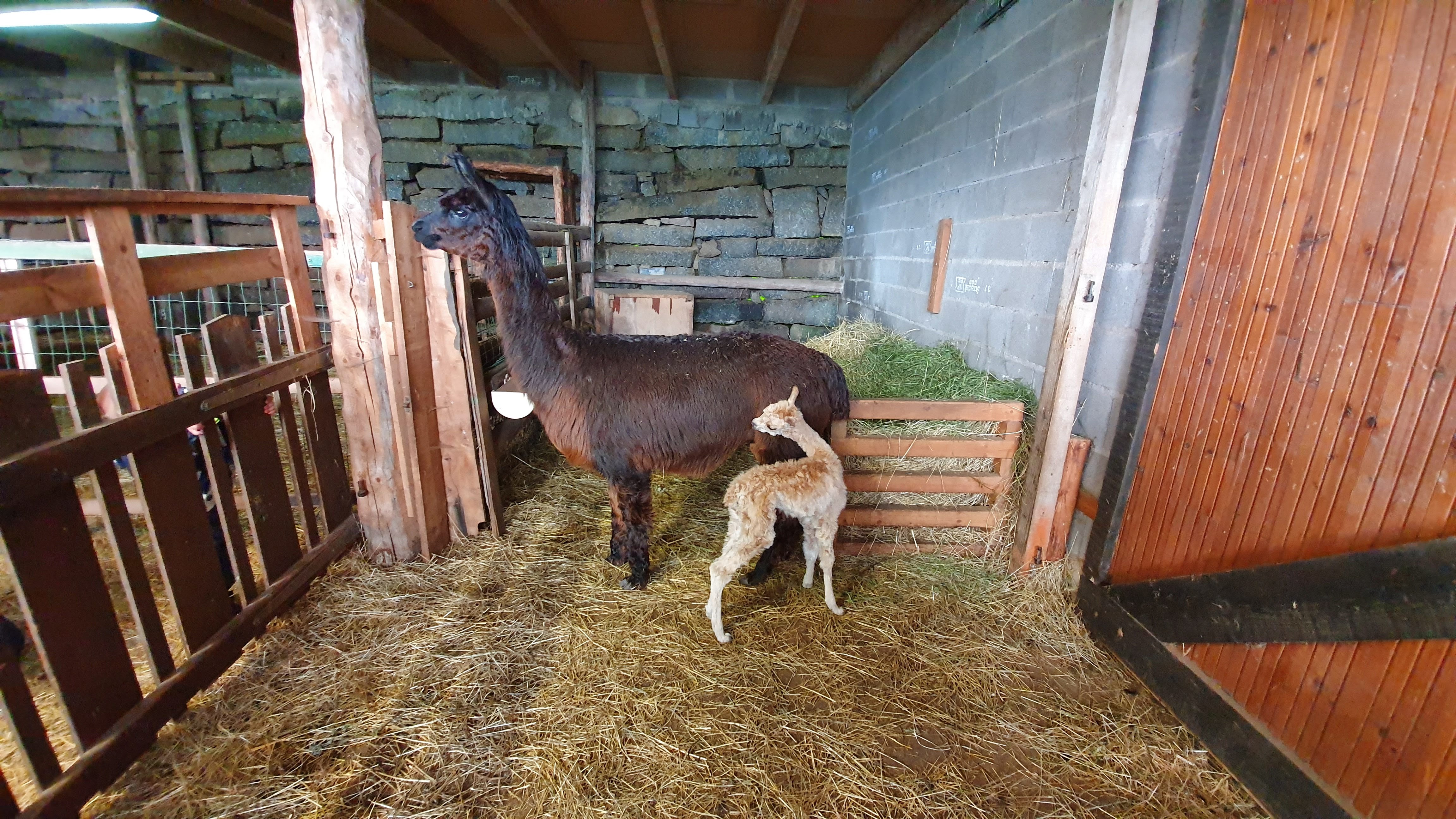 Photo n° 2 de l'avis de Gerwin.e fait le 20/06/2019 à 14:22