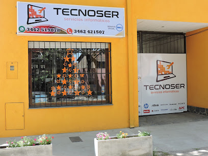 TECNOSER - Servicios Informaticos -