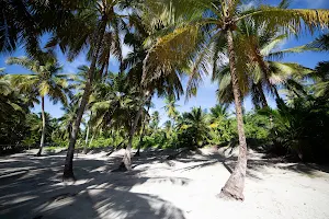 Playa Bonita image