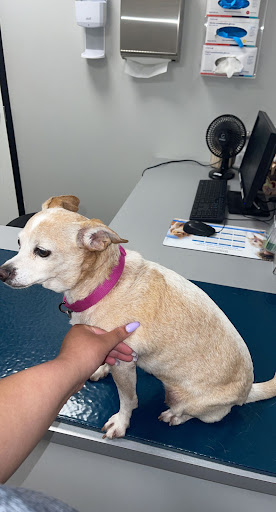 Standiford Veterinary Center