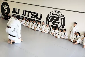 Reign Jiu Jitsu image