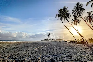Coconut beach image