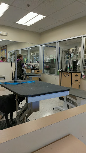 Pet Supply Store «Petco Animal Supplies», reviews and photos, 855 E Bidwell St, Folsom, CA 95630, USA