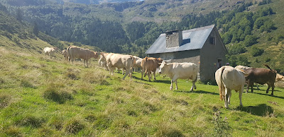 Cabane d'Illau à Sentein