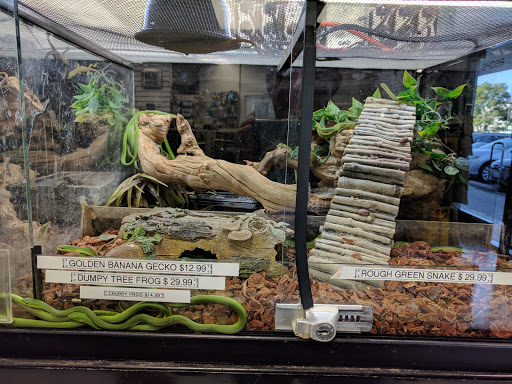 Pet Store «Animal Lovers Pet Shop», reviews and photos, 24028 Vista Montana, Torrance, CA 90505, USA