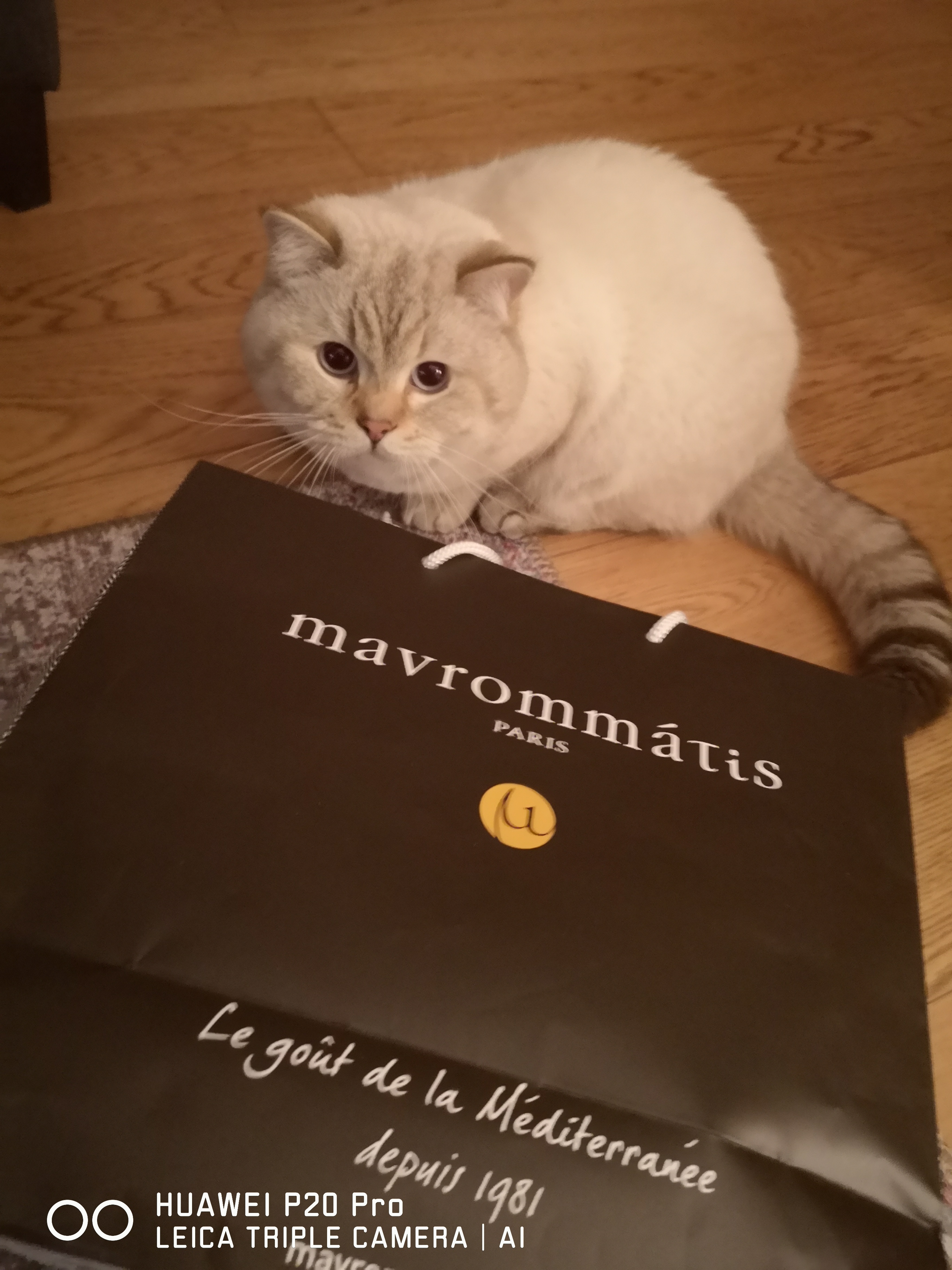 Photo n° 1 de l'avis de Emilie. fait le 21/03/2020 à 19:55