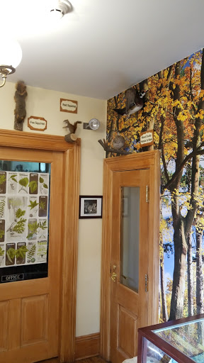 Learning Center «Trailside Museum of Natural History», reviews and photos, 738 Thatcher Ave, River Forest, IL 60305, USA