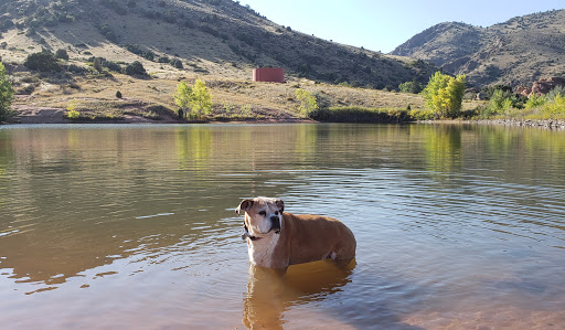 Tourist Attraction «Mount Falcon Park», reviews and photos, Castle Trail, Morrison, CO 80465, USA