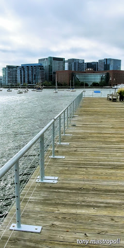 Coffee Shop «Equal Exchange Cafe», reviews and photos, 226 Causeway St, Boston, MA 02114, USA