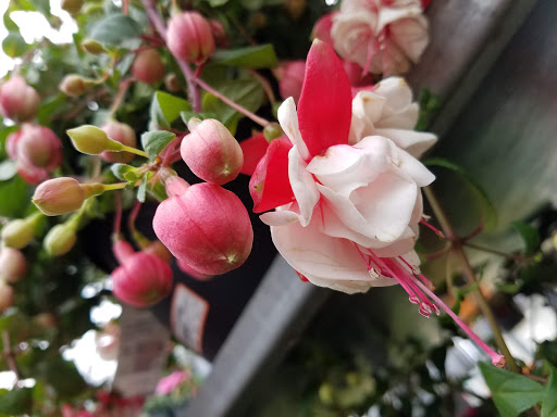 Home Improvement Store «The Home Depot», reviews and photos, 4501 1st Ave SE, Cedar Rapids, IA 52403, USA